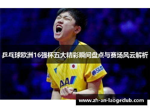 乒乓球欧洲16强杯五大精彩瞬间盘点与赛场风云解析