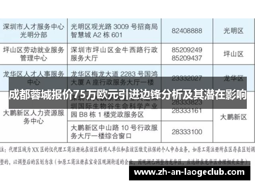 成都蓉城报价75万欧元引进边锋分析及其潜在影响
