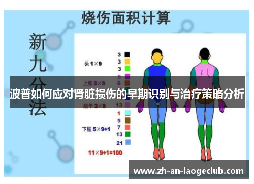 波普如何应对肾脏损伤的早期识别与治疗策略分析
