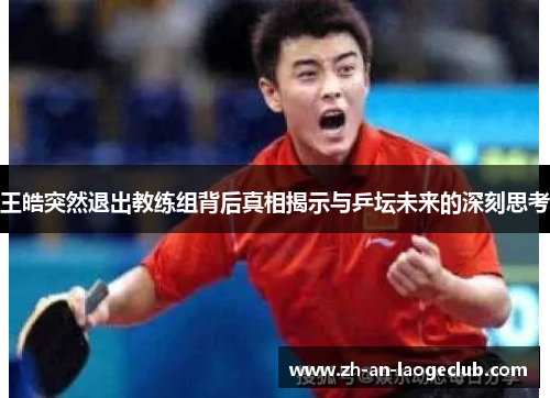 王皓突然退出教练组背后真相揭示与乒坛未来的深刻思考 王皓突然退出教练组背后真相揭示与乒坛未来的深刻思考