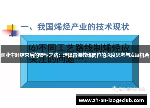 职业生涯结束后的转型之路：选择青训教练岗位的深度思考与发展机会