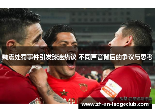 魏震处罚事件引发球迷热议 不同声音背后的争议与思考